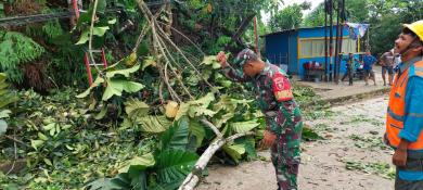 Babinsa Dan Warga Singkirkan Pohon Tumbang yang Menutup Akses Jalan Antar  Kota Samarinda