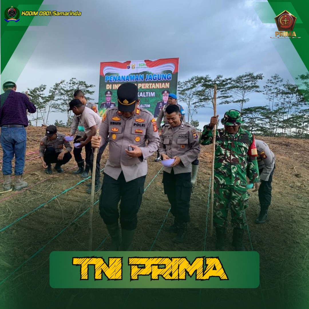 Babinsa Hadiri Tanam Perdana Jagung Pipil Binaan