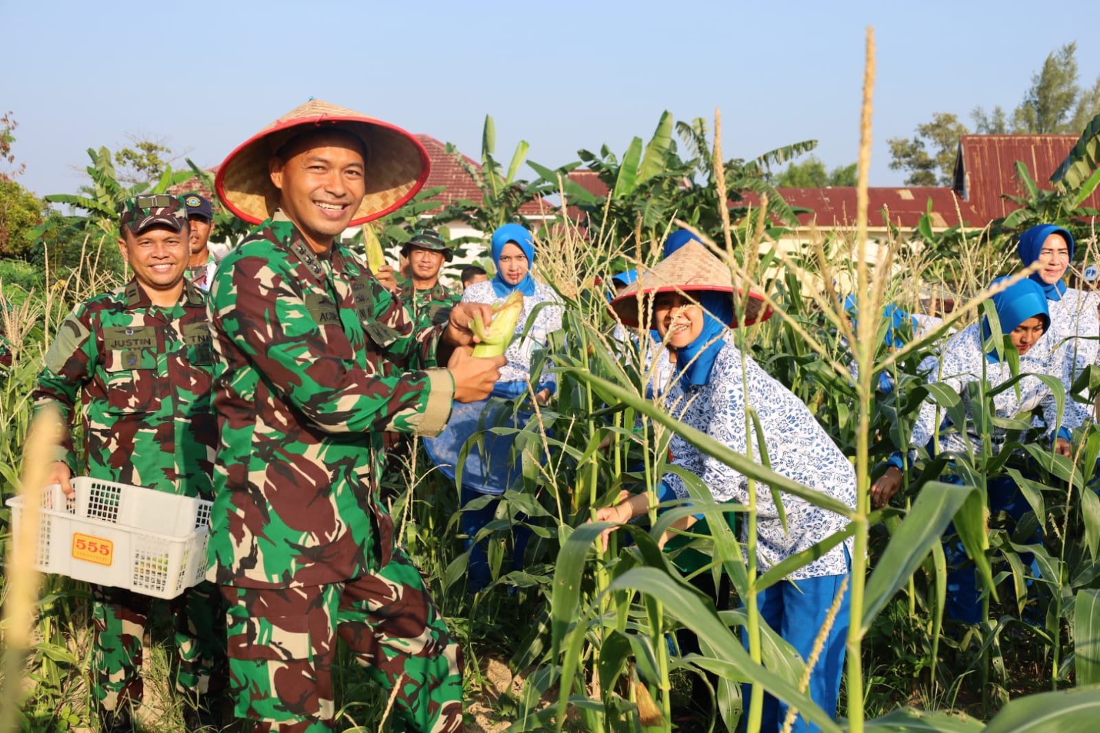 Panen Raya Serentak, Danlanal Dumai Perkuat Ketahanan Pangan Nasional Melalui Hasil Panen Jagung dan