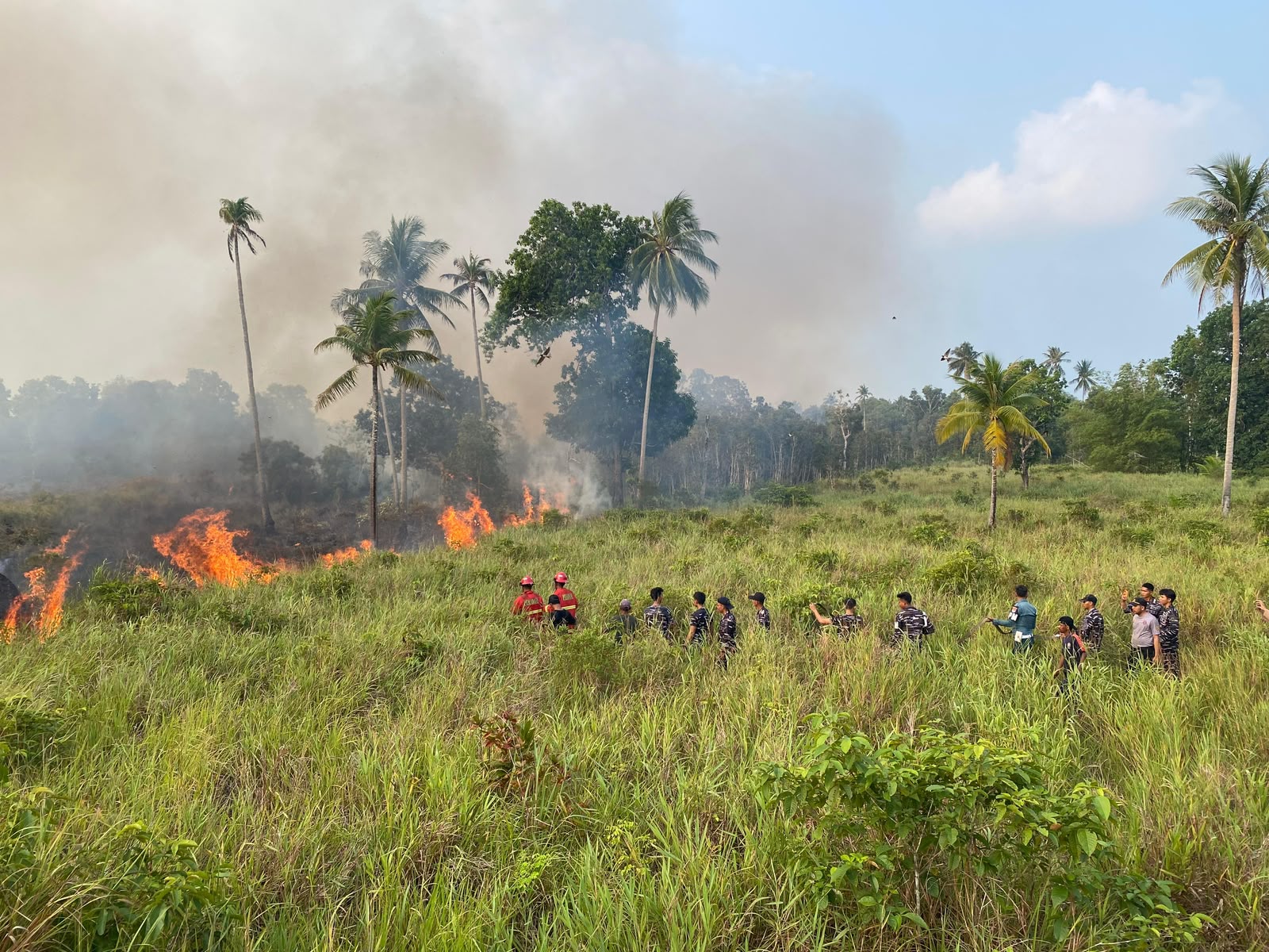 Lanal Ranai Bersinergi Padamkan Kebakaran Lahan Gambut ± 30 Hektar di Cemaga Tengah