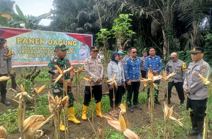 Danramil 0901-01/Samarinda Ulu  Hadiri Panen Raya Jagung dalam Rangka Swasembada Pangan Polresta Sam