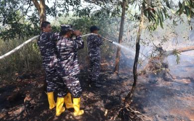 Respons Cepat, Lanal Banjarmasin Bersama Tim Gabungan Lokalisir Karhutla di Guntung Damar