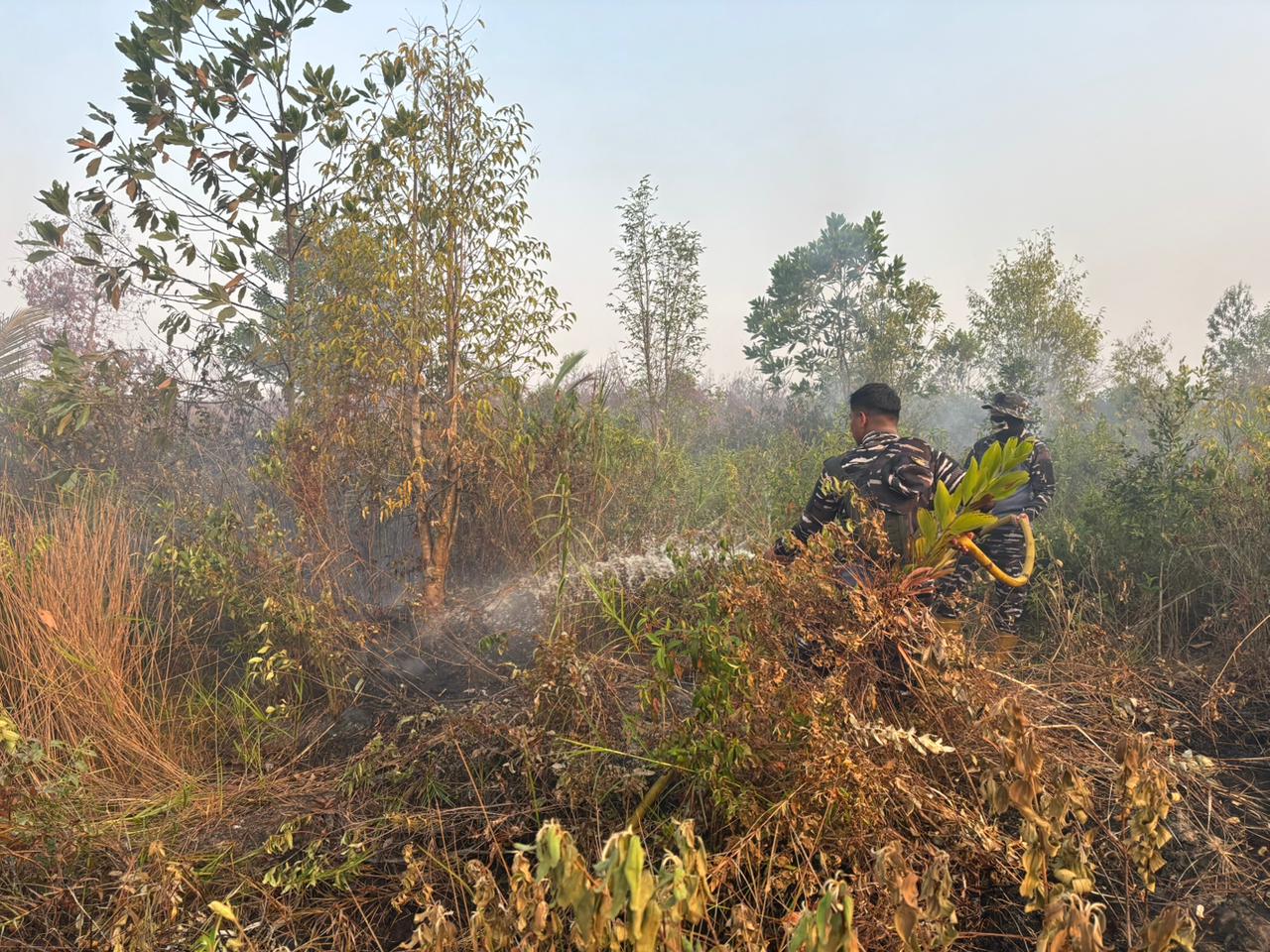 Lokalisasi dan Padamkan Api, Lanal Banjarmasin Bersama Dishut Kalsel Jinakkan Karhutla Ga Lokalisasi dan Padamkan Api, Lanal Banjarmasin Bersama Dishut Kalsel Jinakkan Karhutla Ga