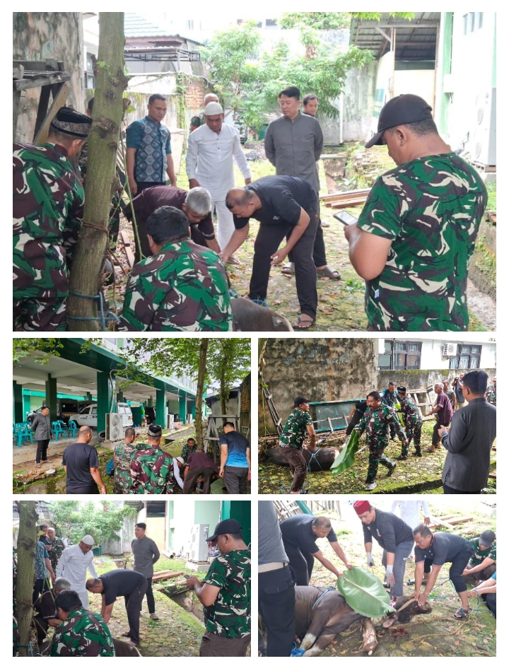 Kodim /Samarinda Gelar Penyembelihan Hewan Kurban Iduladha di Makodim